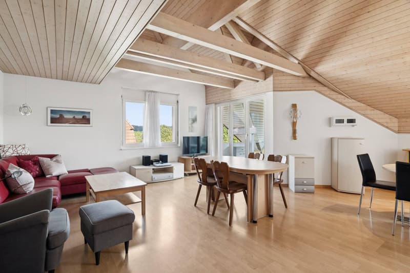 CHARMANT APPARTEMENT MANSARDÉ DANS UN ENDROIT CALME (6)