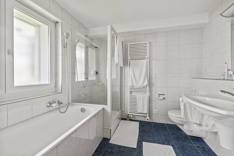 2.5 ROOM APARTMENT WITH LAKE VIEW AND TAX PRIVILEGES 1 (6)