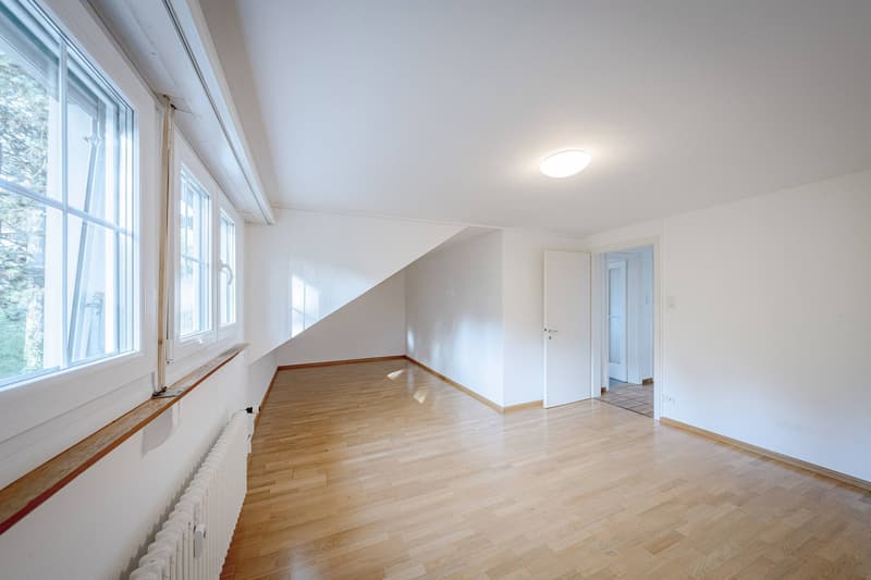 ATTRAKTIVES INVESTMENT IM BRUDERHOLZ (4)