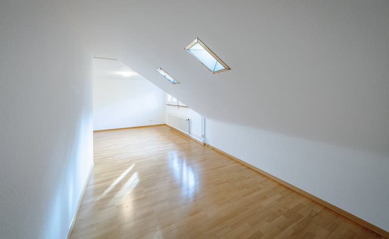ATTRAKTIVES INVESTMENT IM BRUDERHOLZ (5)