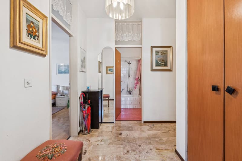 2.5-room condominium with mountain view in Lugano (8)