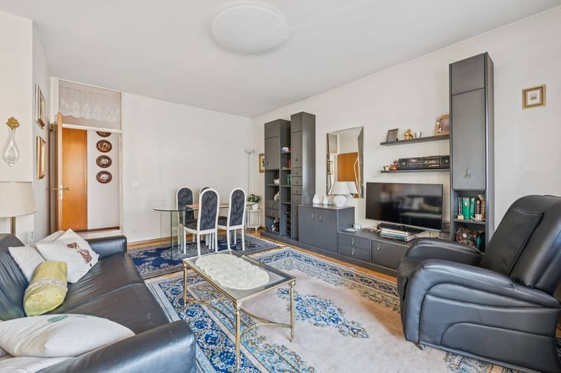 2.5-room condominium with mountain view in Lugano (2)