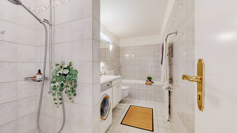 105 M² WOHNQUALITÄT IN SCHAFFHAUSEN (6)