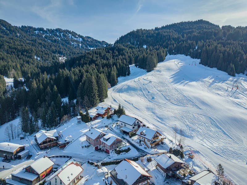 STILVOLLES WOHNEN IM ALPTHAL: SONNIGE 5.5 ZIMMER DOPPELHAUSHÄLFTE (7)
