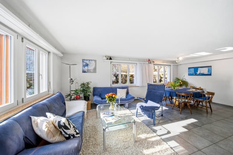 APPARTEMENT DE JARDIN DE STYLE AU MILIEU DES ALPES (3)