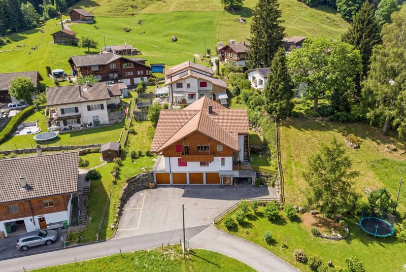 APPARTEMENT DE JARDIN DE STYLE AU MILIEU DES ALPES (8)