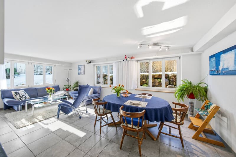 APPARTEMENT DE JARDIN DE STYLE AU MILIEU DES ALPES (4)