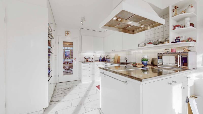 FIERTÉ DE L'APPARTEMENT AU ROSENBERG (7)