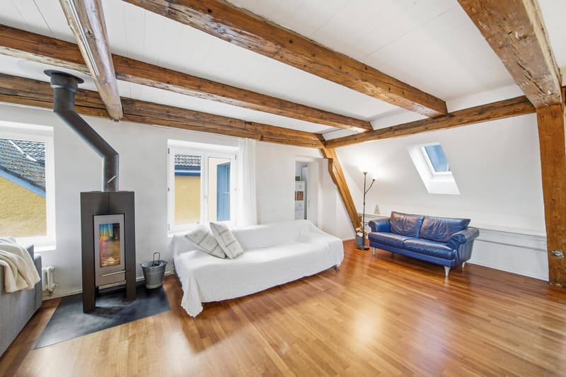 EXZELLENTE DACH-MAISONETTE MIT LOFTCHARAKTER (3)