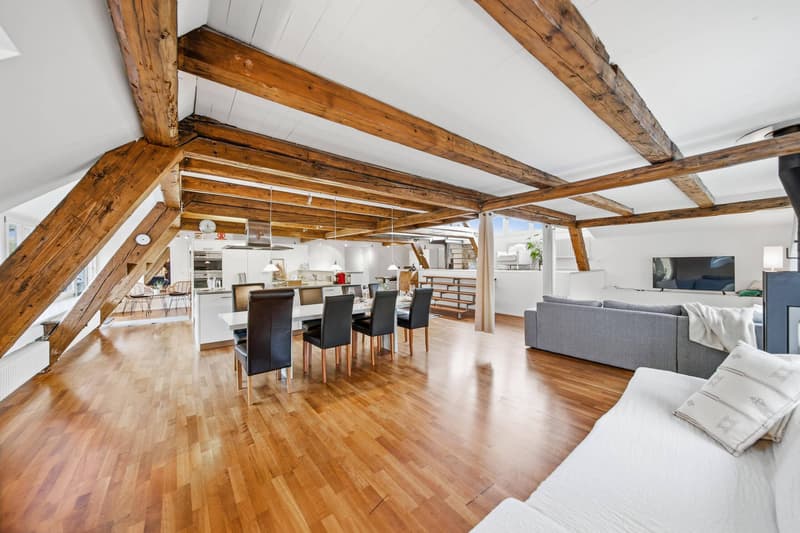 EXZELLENTE DACH-MAISONETTE MIT LOFTCHARAKTER (4)