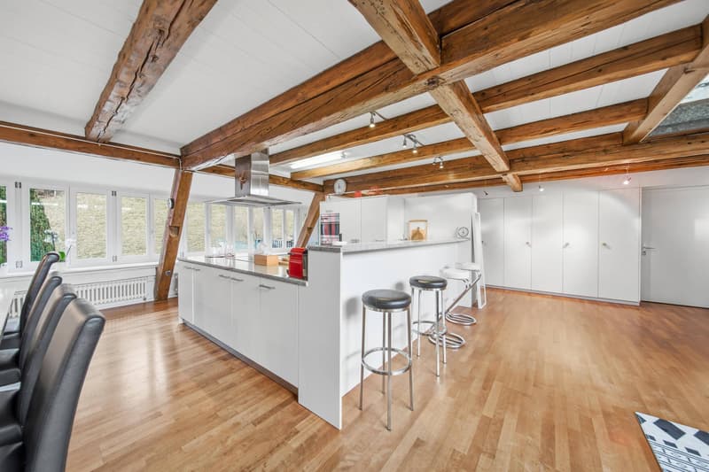 EXZELLENTE DACH-MAISONETTE MIT LOFTCHARAKTER (7)