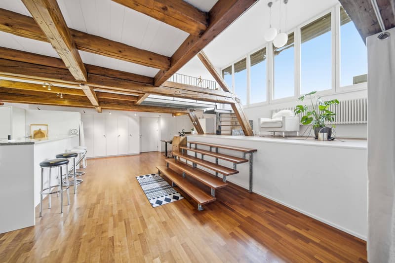 EXZELLENTE DACH-MAISONETTE MIT LOFTCHARAKTER (8)