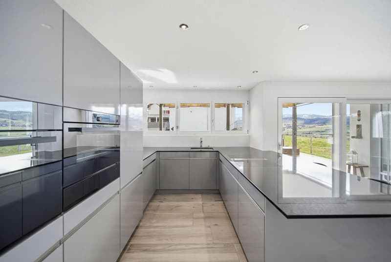 MODERN GARDEN APARTMENT WITH A FANTASTIC VIEW OF THE BERNESE ALPS (3)