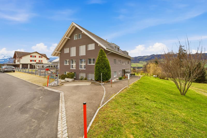 MODERN GARDEN APARTMENT WITH A FANTASTIC VIEW OF THE BERNESE ALPS (7)
