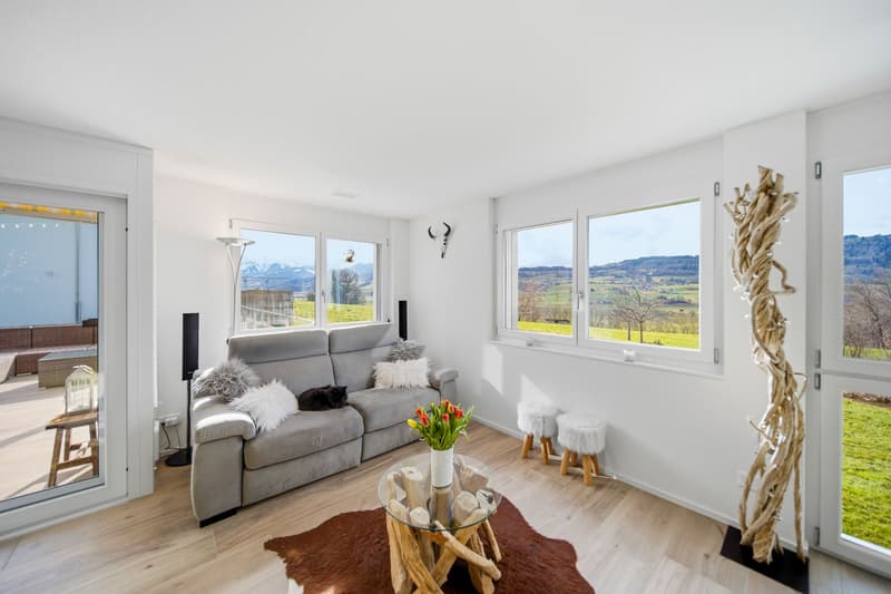 MODERN GARDEN APARTMENT WITH A FANTASTIC VIEW OF THE BERNESE ALPS (2)