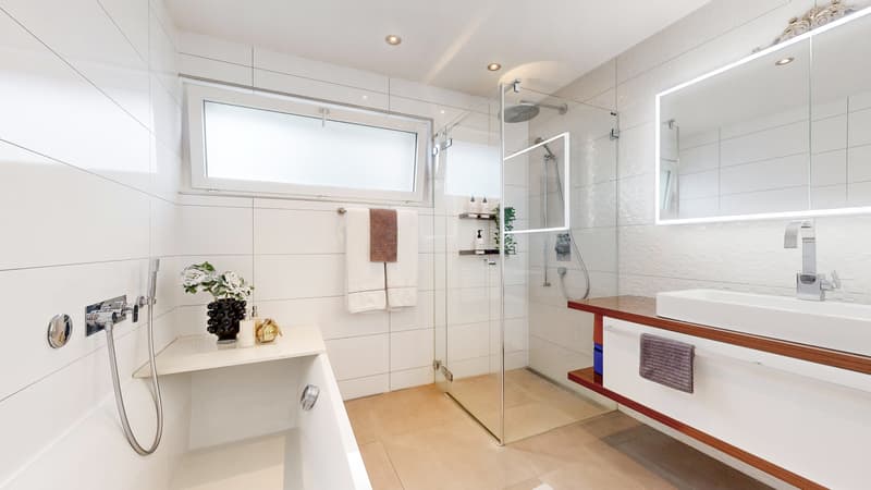 ESPERIENZA DI VITA ESCLUSIVA - MODERNA CASA MONO/BIFAMILIARE CON PISCINA E SAUNA (5)