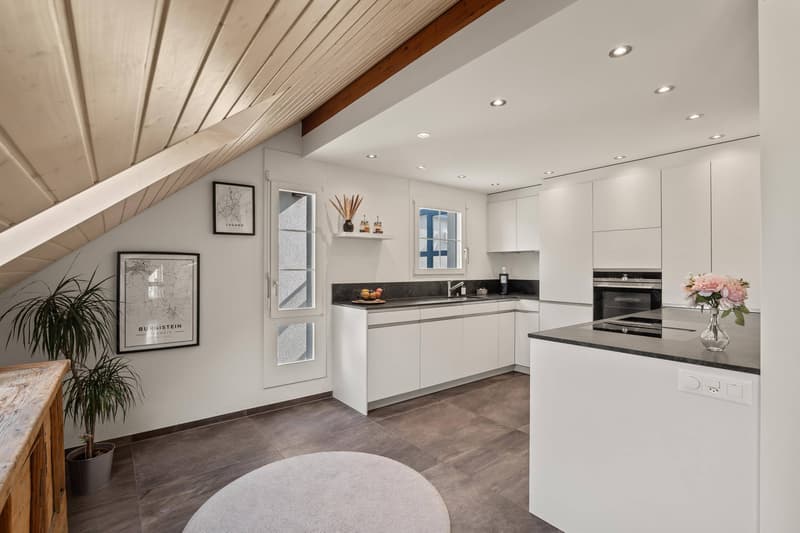 GRAND APPARTEMENT SUR LE TOIT - CHARMANT ET ABORDABLE (7)