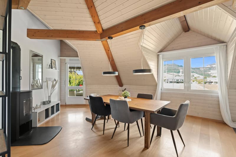 GRAND APPARTEMENT SUR LE TOIT - CHARMANT ET ABORDABLE (3)