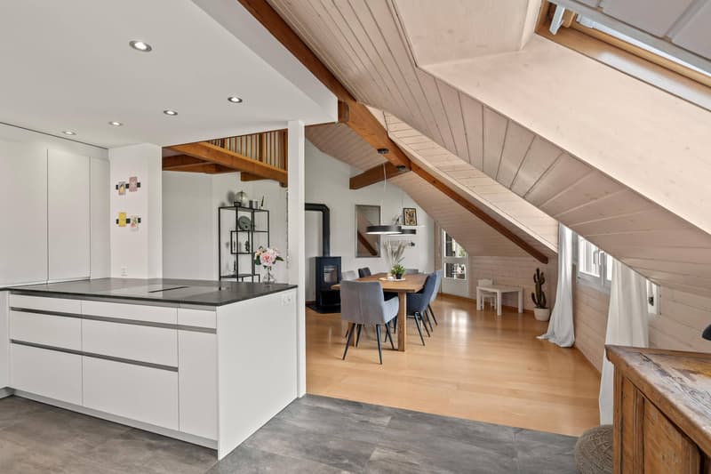 GRAND APPARTEMENT SUR LE TOIT - CHARMANT ET ABORDABLE (2)
