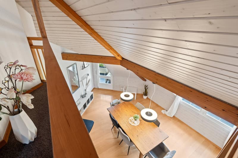 GRAND APPARTEMENT SUR LE TOIT - CHARMANT ET ABORDABLE (5)