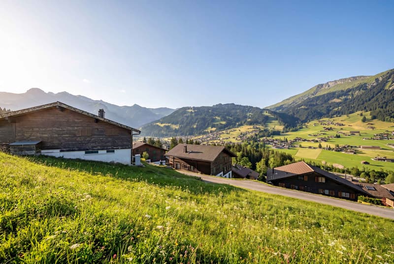POSIZIONE SOLARE SUL LENK - Terreno edificabile di 747 m² con una vista da sogno sulle montagne (5)