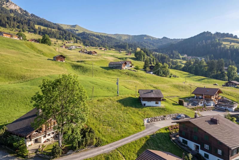 POSIZIONE SOLARE SUL LENK - Terreno edificabile di 747 m² con una vista da sogno sulle montagne (4)