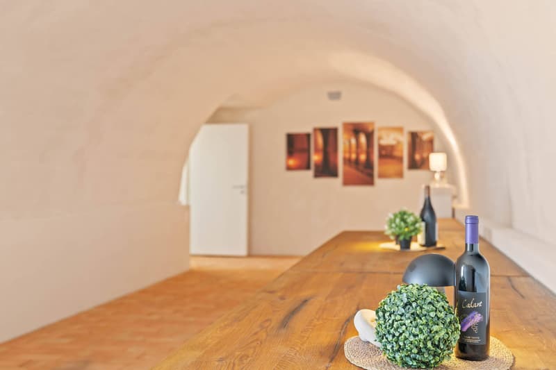 MEHR NATUR. MEHR RUHE.  MEHR ZUHAUSE - EXKLUSIVE WOHNUNG MIT  221 M² TERRASSE (7)