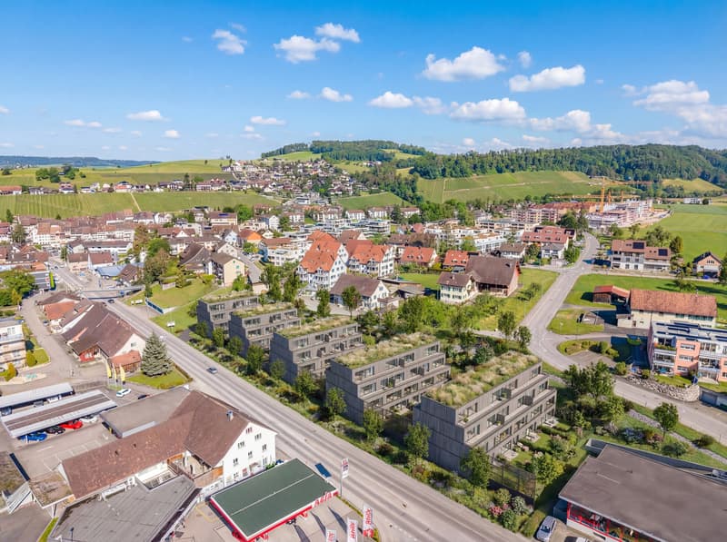 INVESTMENT- CHANCE IN  EGLISAU: 6'884 m² WOHNBAULAND (2)