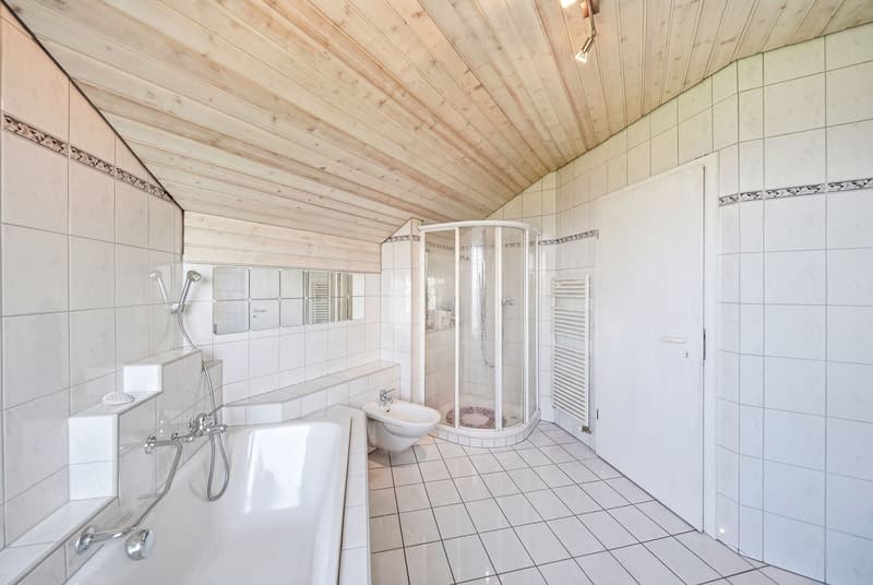 DETACHED LAKE VIEW HOUSE IN THE COUNTRYSIDE (6)