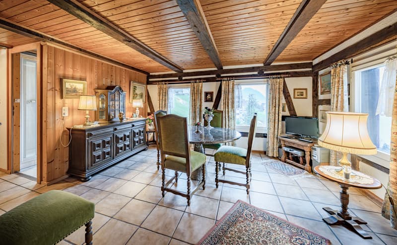 ORIGINAL SWISS RESIDENTIAL PEARL ON A SUNNY SLOPE (3)