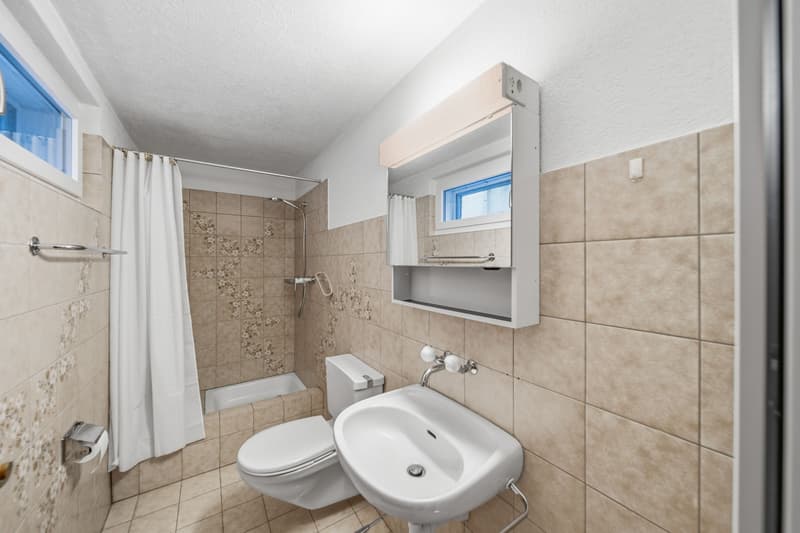 FREISTEHENDES 5.5 ZIMMER EINFAMILIENHAUS MIT POOL - WATT ELSE? (6)