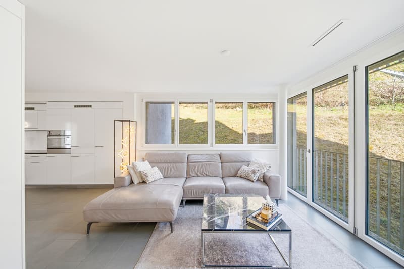 TOP MODERN WOHNEN IN WINTERTHUR (2)