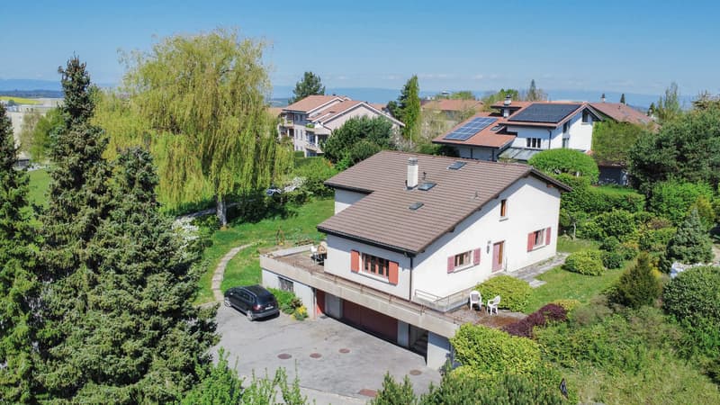 GROSSE CHANCE IN FREIBURG - MEHRFAMILIENHAUS MIT 3 WOHNUNGEN (8)