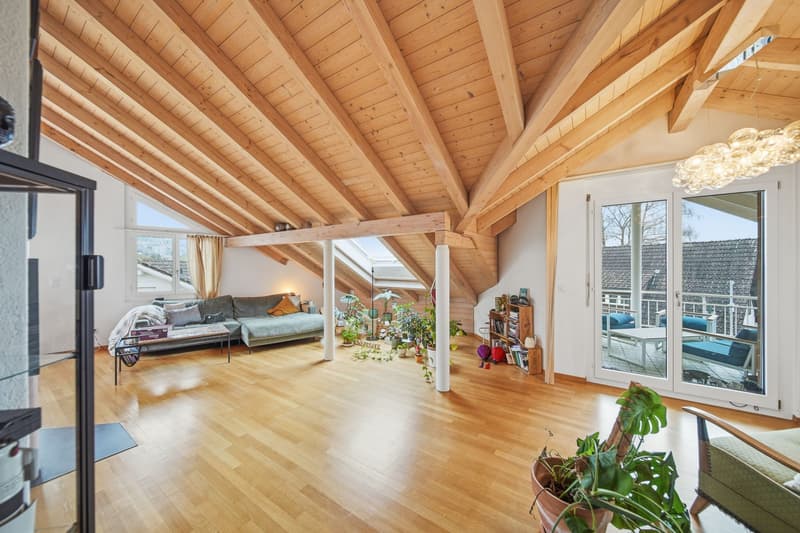 ROOFTOP BAAR - ELEGANTE 4.5 ZIMMER DACHWOHNUNG (2)