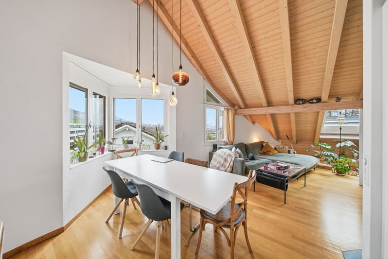 ROOFTOP BAAR - ELEGANTE 4.5 ZIMMER DACHWOHNUNG (1)