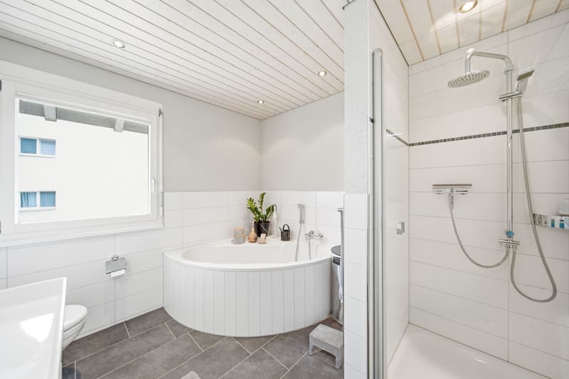 https://www.propertyowner.ch/de/immobilien/ (6)