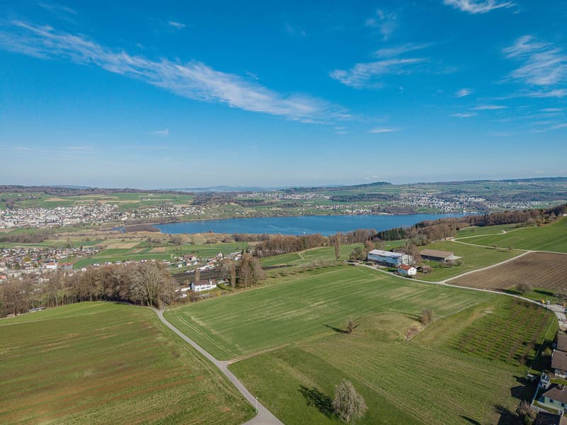 865 M² WOHNBAULAND IN ERHÖHTER LAGE NAHE HALLWILERSEE (7)