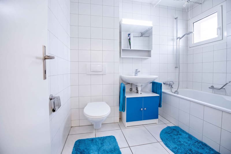 FREISTEHEND AM HANG - 5.5 ZIMMER EINFAMILIENHAUS (6)