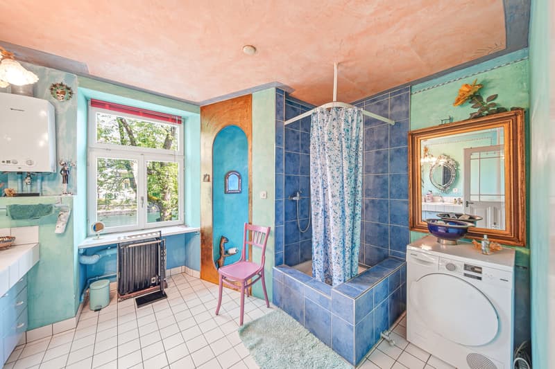 VIRTUOS SUR LA REUSS - APPARTEMENT DUPLEX DE 6,5 PIÈCES (6)