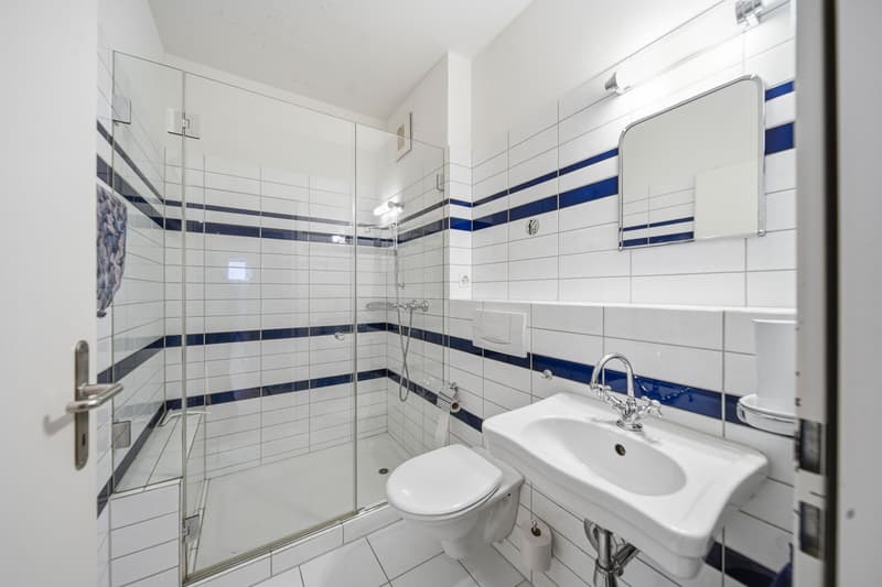 CONFORT D'HABITATION DANS UN ENDROIT ATTRAYANT À ZURICH (6)