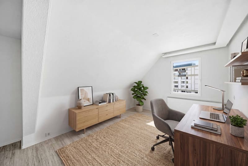 MERAVIGLIA D'USO A OLTEN - CASA RESIDENZIALE E COMMERCIALE (5)