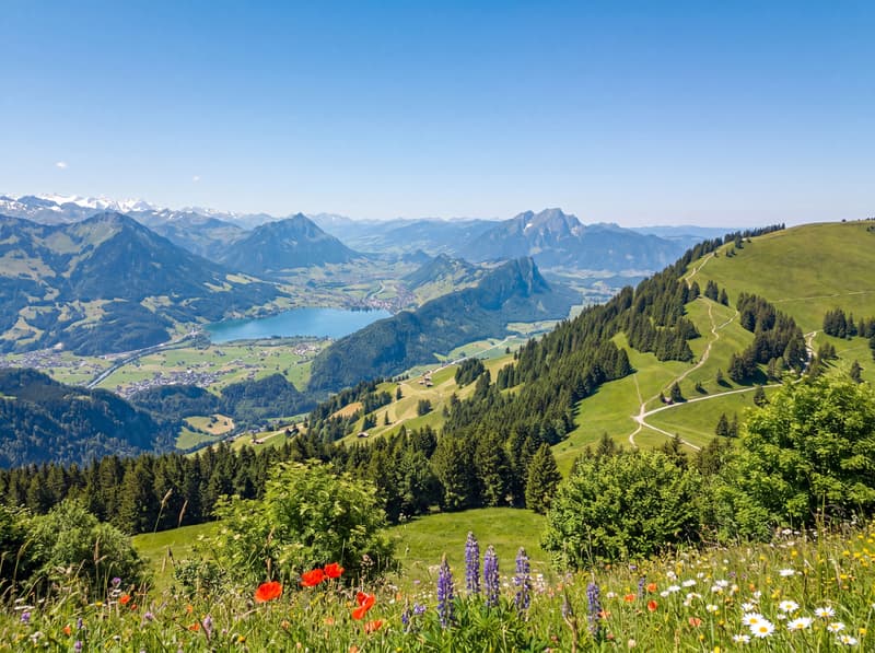 RIGI- KÖNIGIN DER BERGE : 7'000 m² de terrain à bâtir HOTEL EXCLUSIF (7)