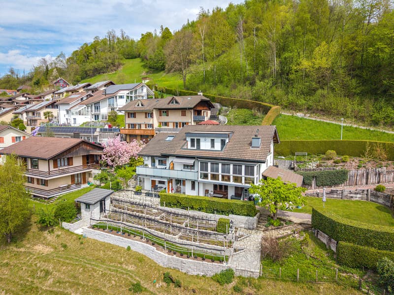 OCCASION DANS UN TERRAIN PRIVÉ : 1'852 m² DE TERRAIN À CONSTRUIRE À WOLHUSEN (5)
