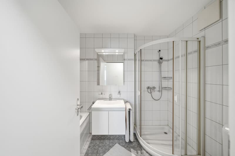 VERS LE SOLEIL - APPARTEMENT DE 4,5 PIÈCES AVEC TERRASSE EXPOSÉE AU SUD (6)