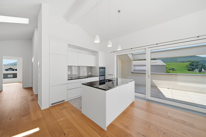 APPARTEMENT DE HAUT DE GAMME DE 3,5 PIÈCES SOUS LES TOITS AVEC VUE PANORAMIQUE (3)