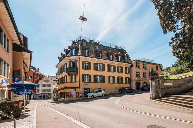 UNA PERLA SOTTO IL TETTO - APPARTAMENTO DI 1,5 LOCALI SOTTO IL TETTO A HORGEN (7)