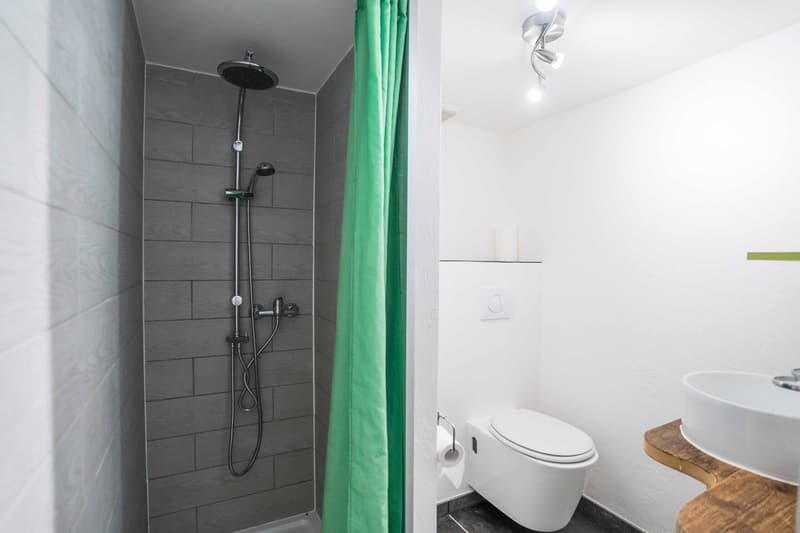 8.5 ZIMMER HAUSHÄLFTE MIT EINLIEGERWOHNUNG IN DEN BERNER ALPEN (6)