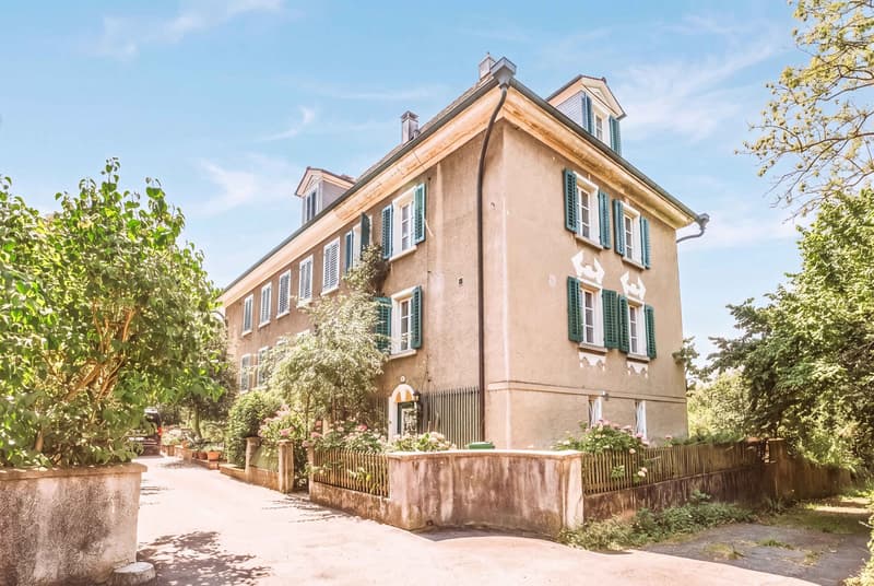 VOLL AUF DER HÖHE IN LUZERN - CHARMANTES TRADITIONSHAUS (1)