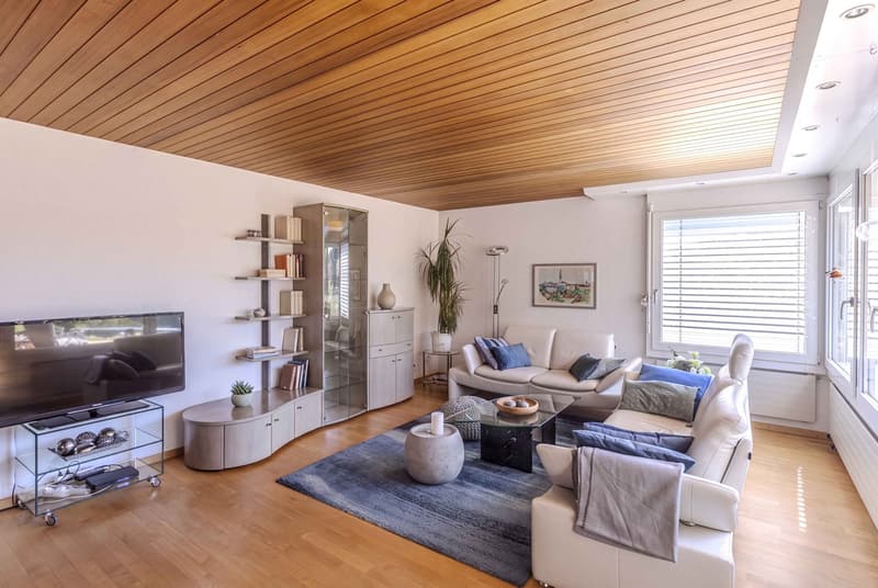 WEITSICHT UND BLICK INS GRÜNE - 4.5 ZIMMER TERRASSENHAUS IN OSTERMUNDIGEN (2)