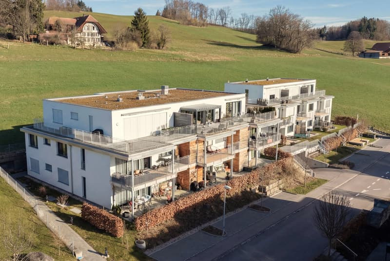MODERN UND STILVOLL IM GRÜNEN (1)